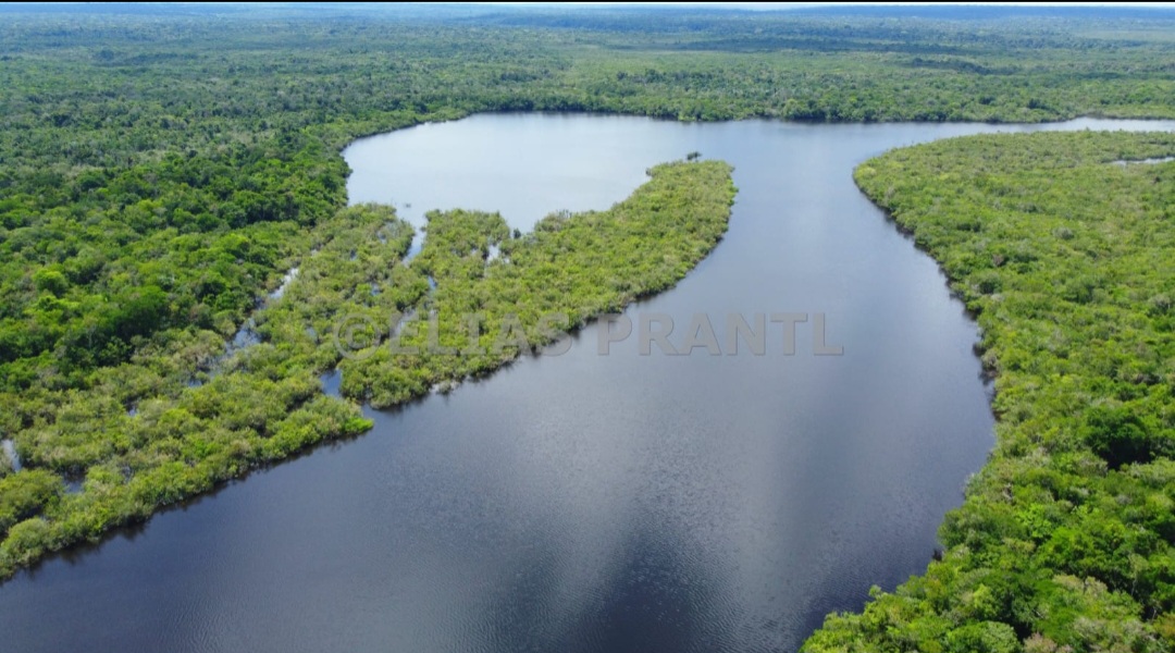 Guia da Ney Eco Adventures na floresta